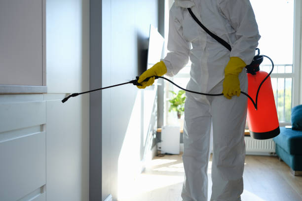 Best Mold Remediation for Specific Building Types in Leavenworth, WA